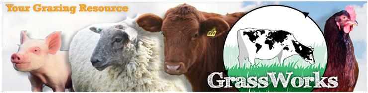 GrassWorks web banner