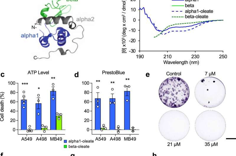 New approach to molecular drug design yields highly promising bladder cancer drug candidate