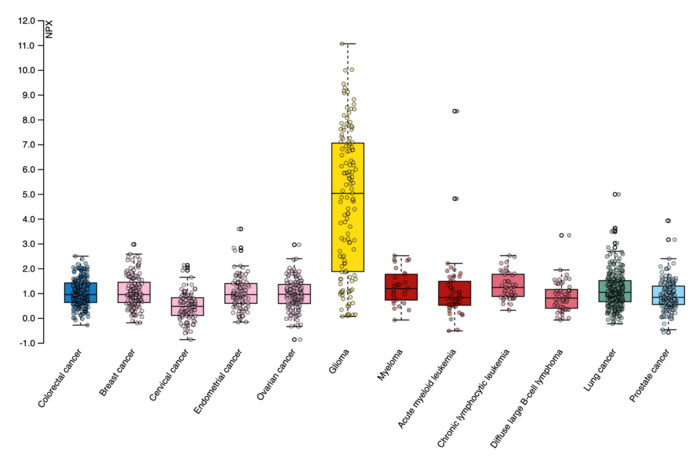 Expression of protein in brain cancer