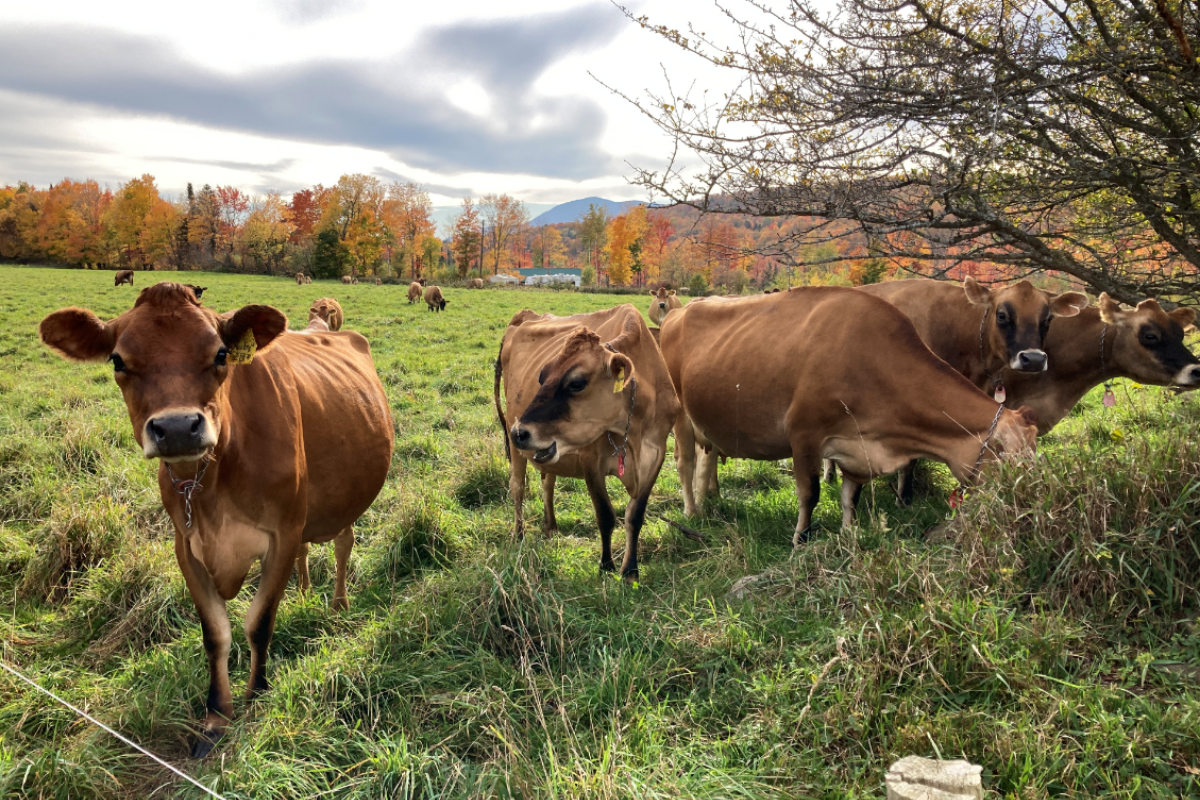 Farm Agronomic Practice Program Applications Open Now