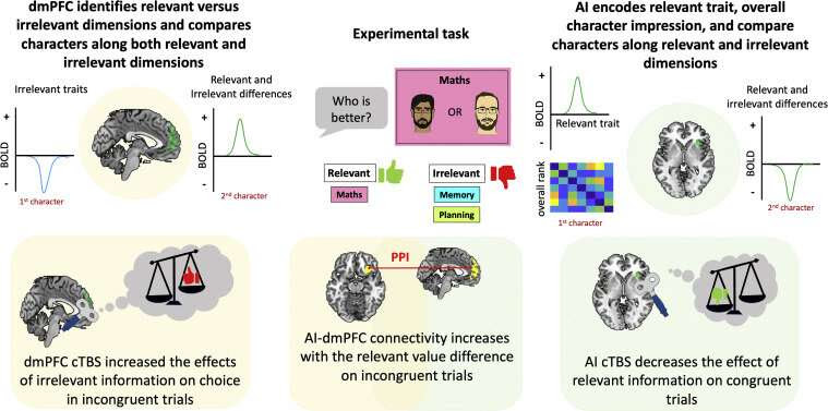 A neural pathway involved in separating and selectively sorting through social information