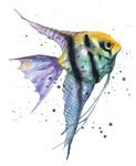 Watercolor Fish - Posted on Monday, January 12, 2015 by Alison Fennell