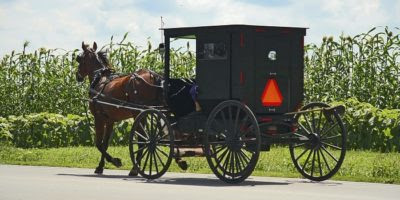 6 ‘Lost’ Off-Grid Lessons From The Amish