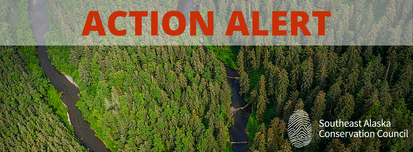 Southeast Alaska Conservation Council Southeast Alaska Conservation Council