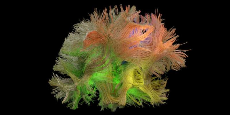 Researchers discover hidden brain pattern