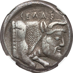 SICILY. Gela. Ca. 480-470 BC. AR tetradrachm. NGC Choice VF 5/5 - 4/5