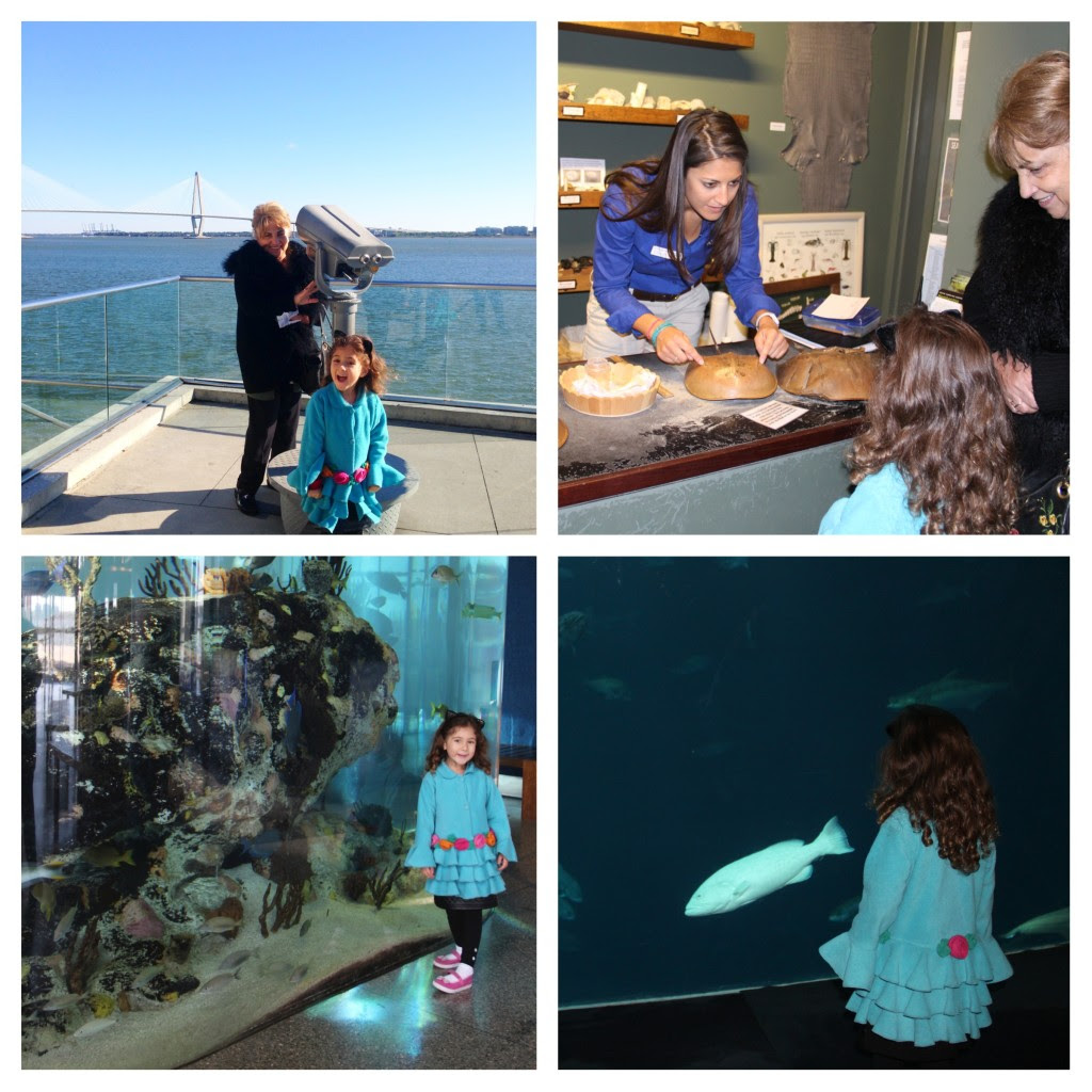 Family Friendly Charleston, South Carolina, South Carolina Aquarium, Family Travel, Aquarium, Charleston with Kids, 