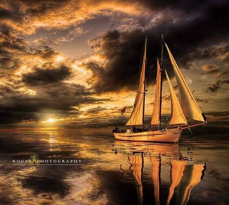 Sailing-in-gold