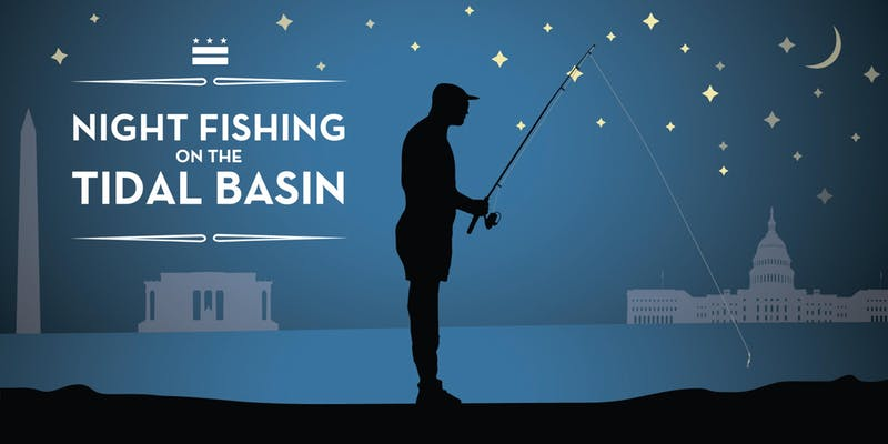 night fishing banner