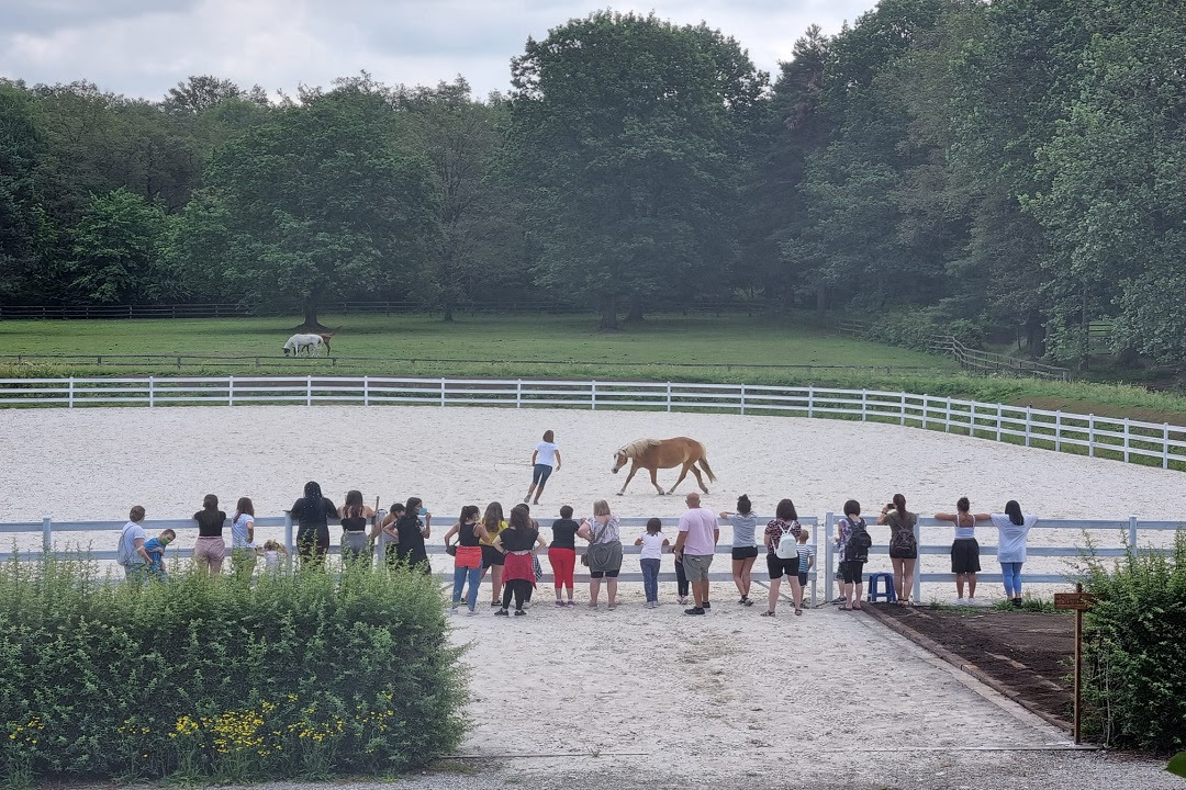 persone fragili animali