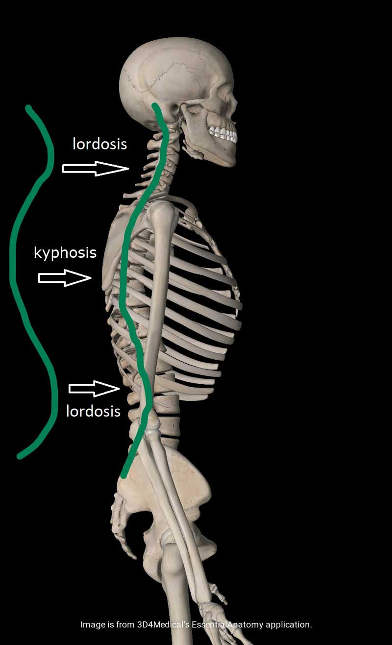 CERVICAL NECK ROLL | The Pain Relief 