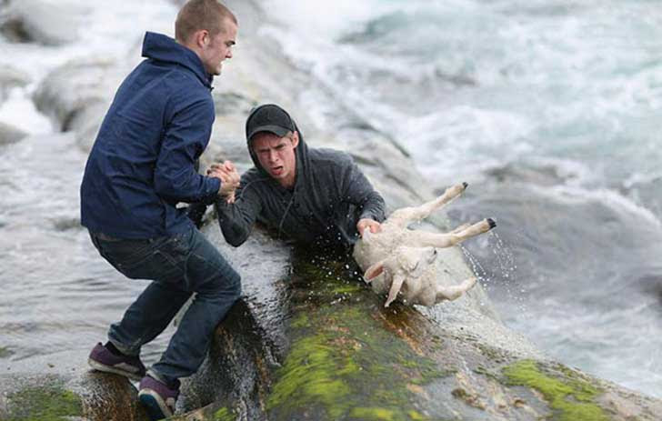 faith-humanity-restored-kind-people-251