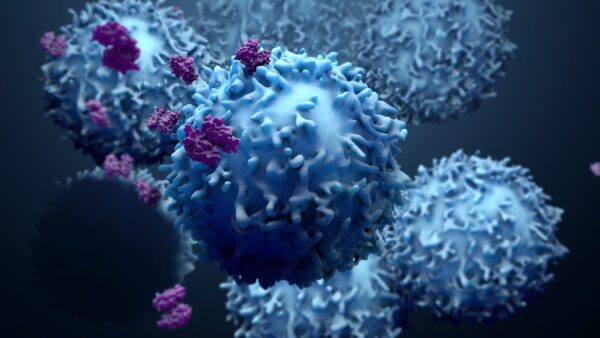 Scientists Identify New T Cell That Can Find, Kill Cancer Cells