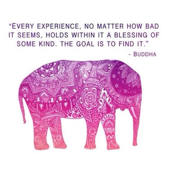 Every experience, no matter how bad it seems, holds within it a blessing of some kind. The goal is to find it.