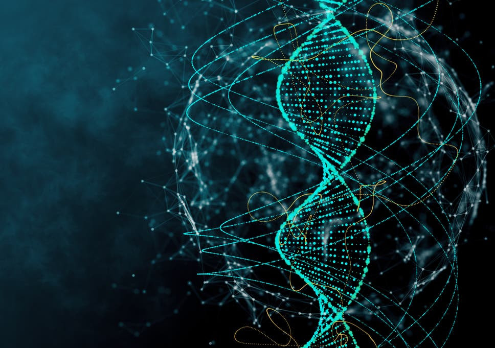 Gene replacement therapy cannot easily fix a disease caused by a faulty gene, for as David Brown points out, "human biology is so complicated."