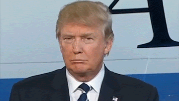 Political gif. Donald Trump makes some goofy faces: taken aback, impish, and one where he just sort of leaves his mouth open.