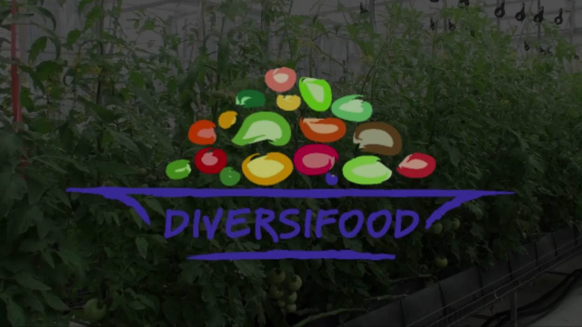 DIVERSIFOOD in PILLS | New food culture in Europe