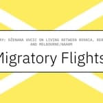 Migratory Flights Https%3A%2F%2Fs3.us-east-1.amazonaws.com%2Fpocket-curatedcorpusapi-prod-images%2F9572d267-e063-4ddf-9e67-c8f04488fc8d