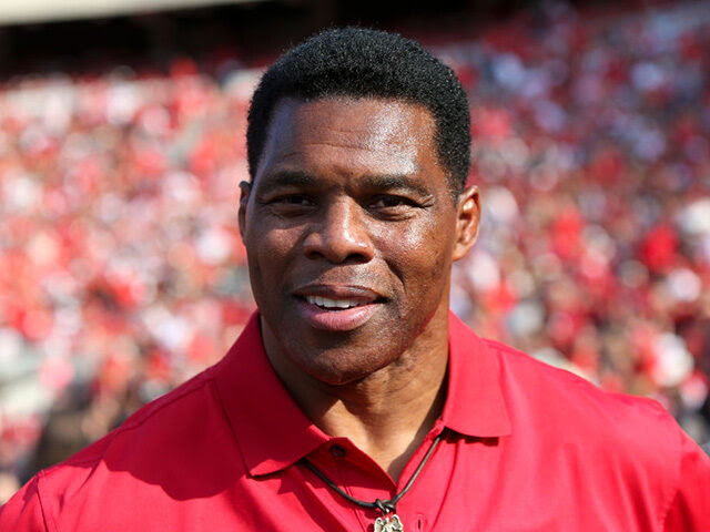 ATHENS, GA - SEPTEMBER 11: Former running back Herschel Walker for the Georgia Bulldogs on the sidelines against the UAB Blazers in the first half at Sanford Stadium on September 11, 2021 in Athens, Georgia. (Photo by Brett Davis/Getty Images)