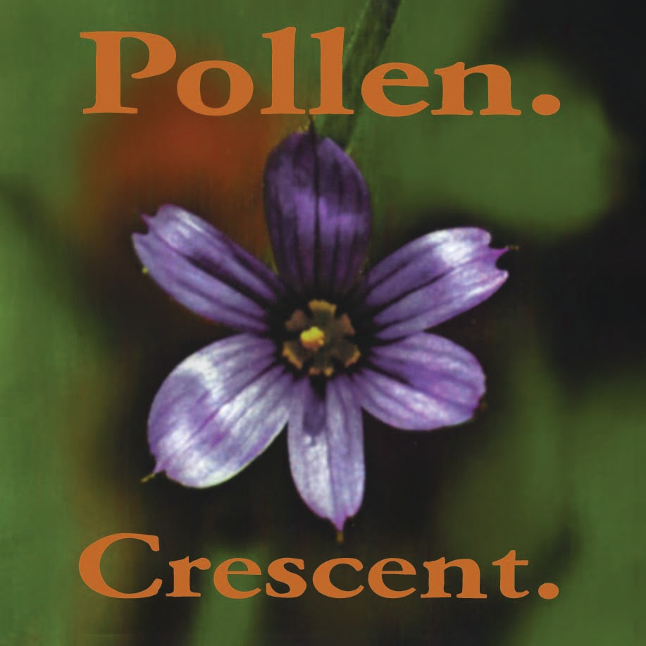 Pollen Crescent vinyl artwork