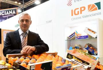 Cítricos Valencianos participará en el III Congreso Internacional de Productores – Exportadores de Mango