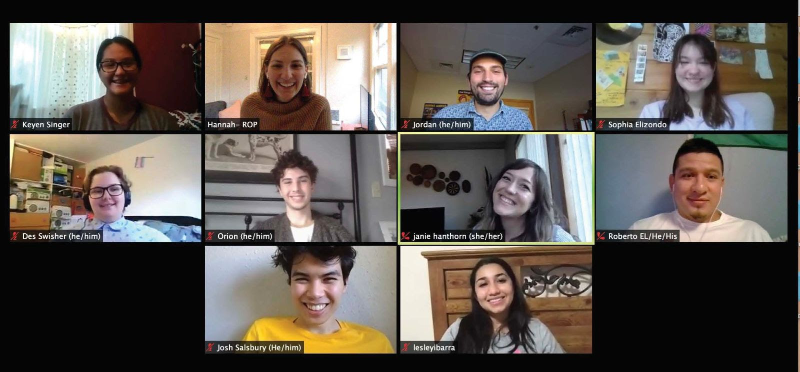 Screenshot of zoom call with Fellows smiling in each camera window