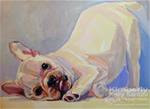 Poppy Puppy, In Process - Posted on Friday, February 27, 2015 by Kimberly Santini