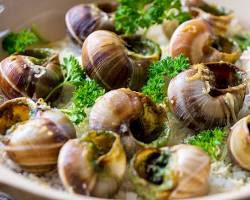 Escargots, French cuisine