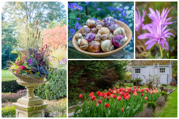 Collage from September Garden webinar