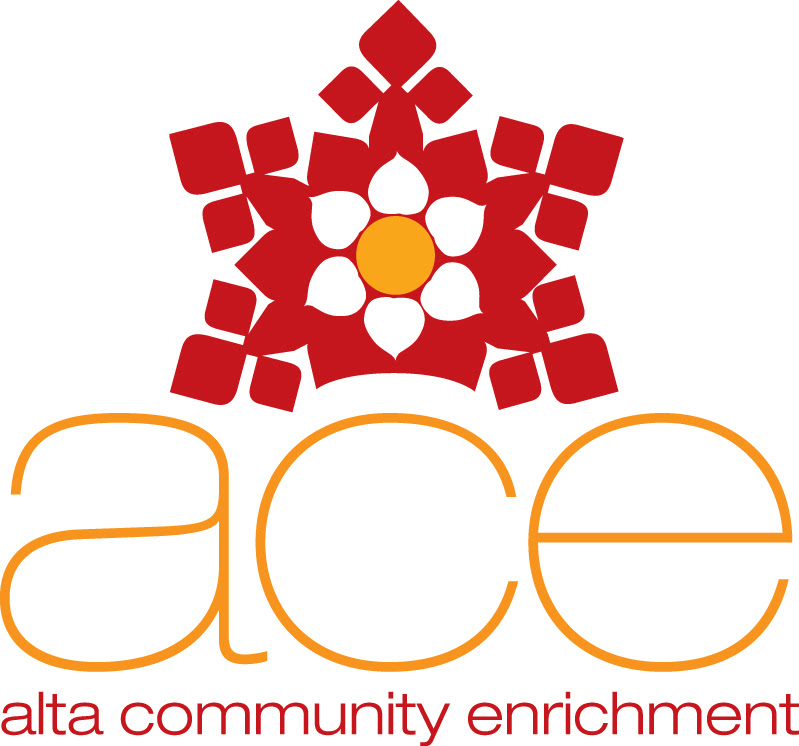 new ace logo
