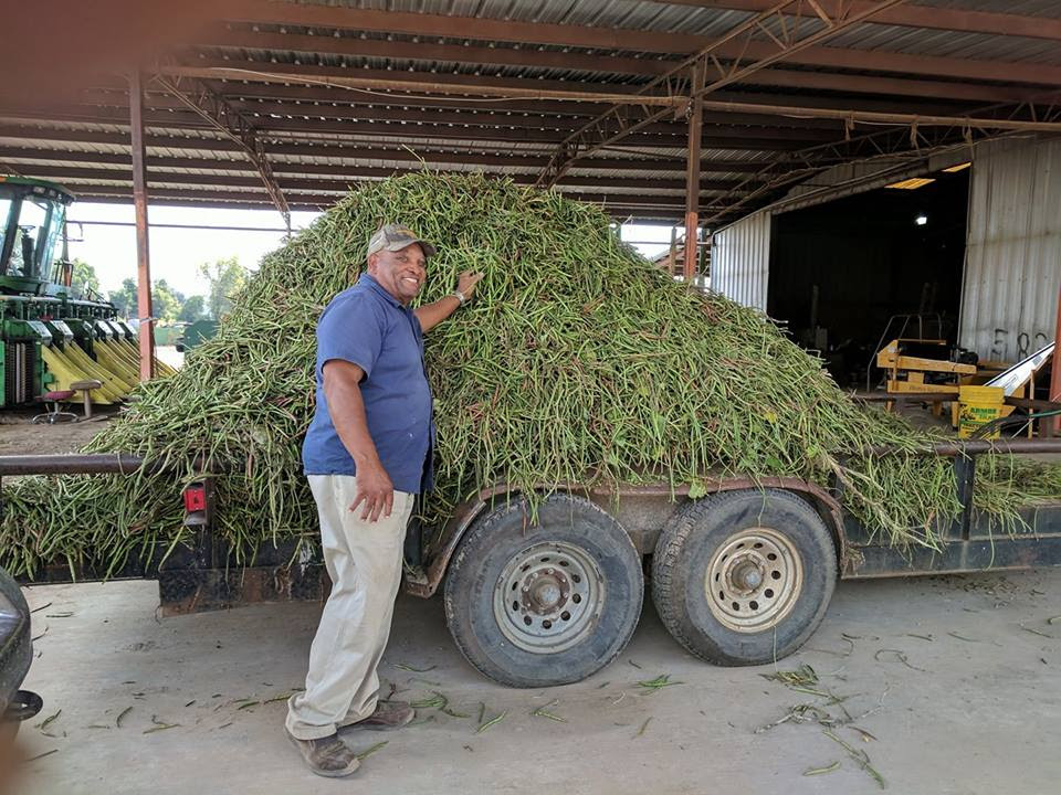 black owned farms