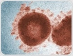 2019 coronavirus virus officially named COVID-19