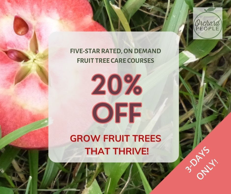 Red fleshed apple cut open with information on sale