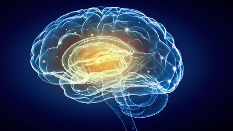 20150821181343-brain-persuasion-science-smart-thinking