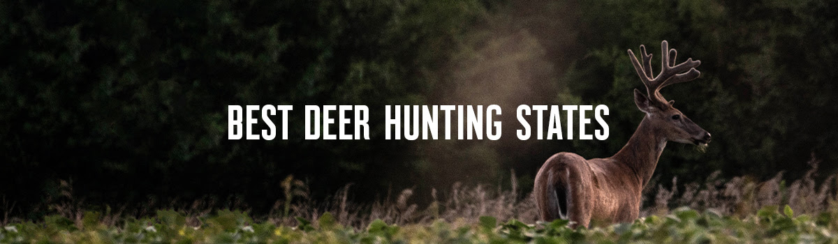 Best Deer Hunting States