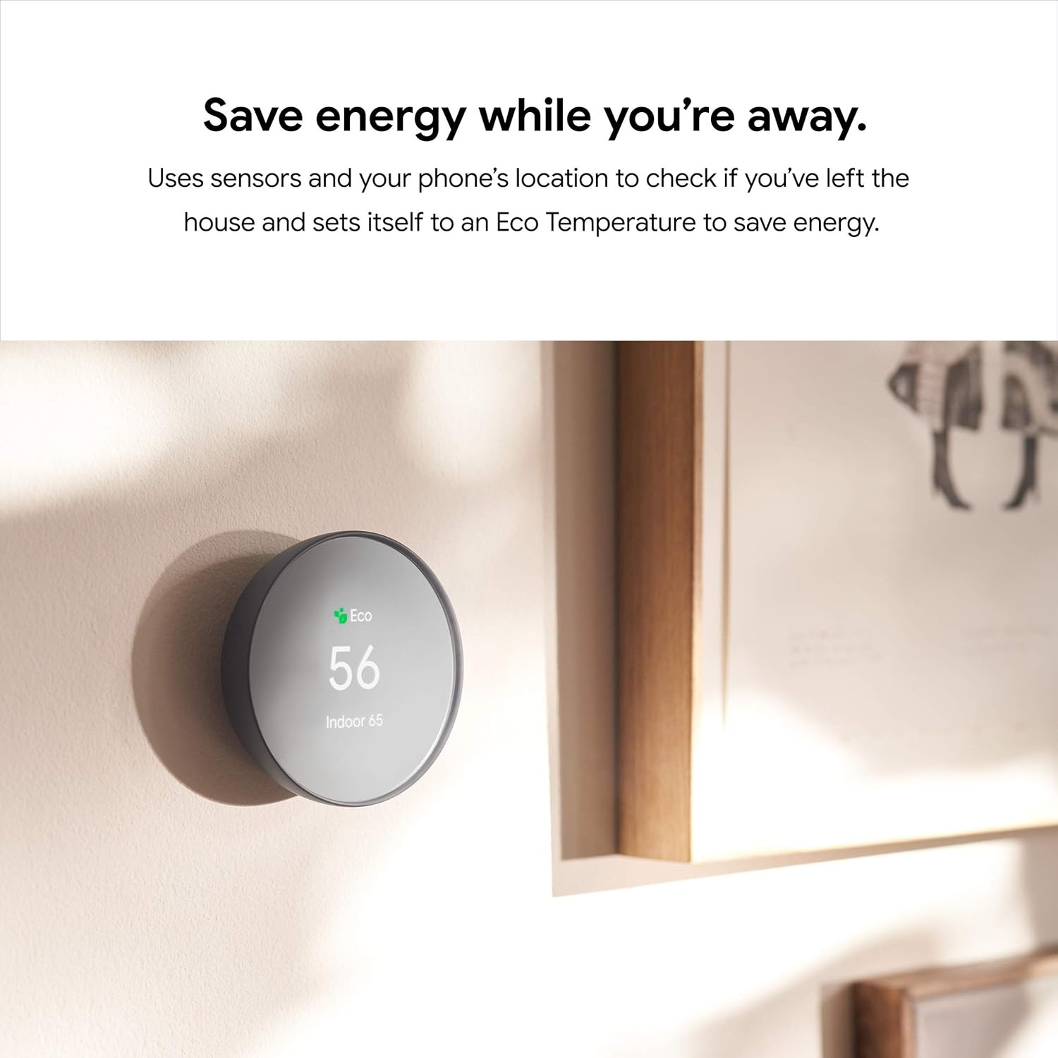 Google Nest Devices