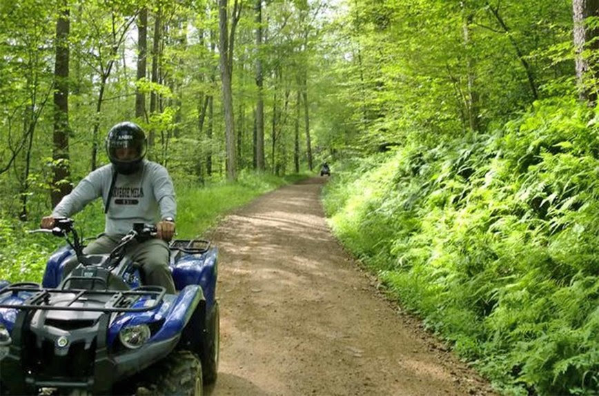 A person rides an all terrain vehicle on a dirt road in a lush forest.