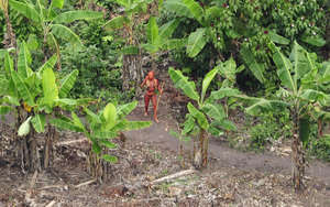 Indígenas no contactados enfrentan presiones en su tierra debido a la tala ilegal, el narcotráfico y la exploración de petróleo y gas (fotografía tomada en 2010).