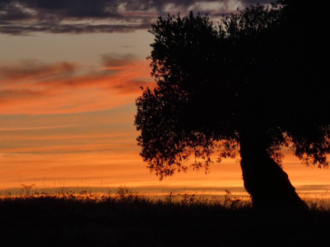 Denuncian el impacto
del turismo en los espacios
naturales y rurales