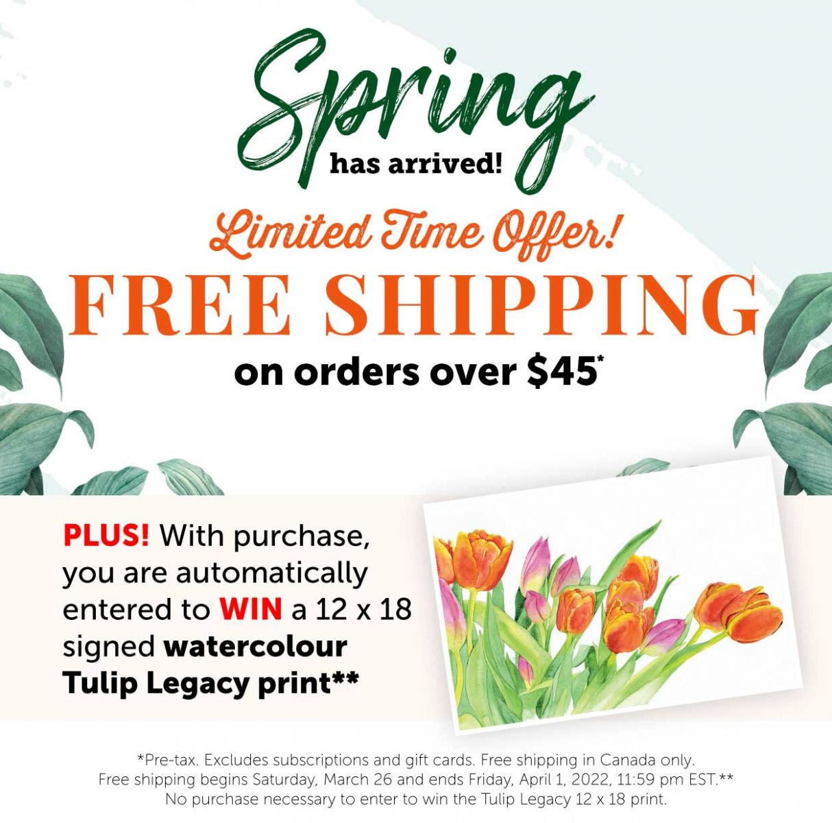 Limited Time Offer! FREE SHIPPING on order over $45*