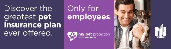 Nationwide Pet insurance banner graphic image