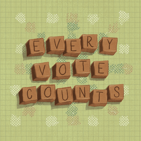 Every vote counts. Count every vote.
