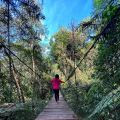 Aventoriba 1