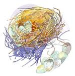 Bird Nest and Eggs - Posted on Saturday, December 20, 2014 by Chris Carter
