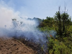 Prescribed fire along grassland at Spread Eagle State Natural Area with smoke in background.