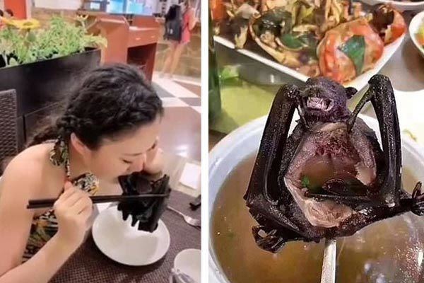 Giữa đại dịch corona, Diệp Tuyền tố từng bị ép ăn thịt dơi