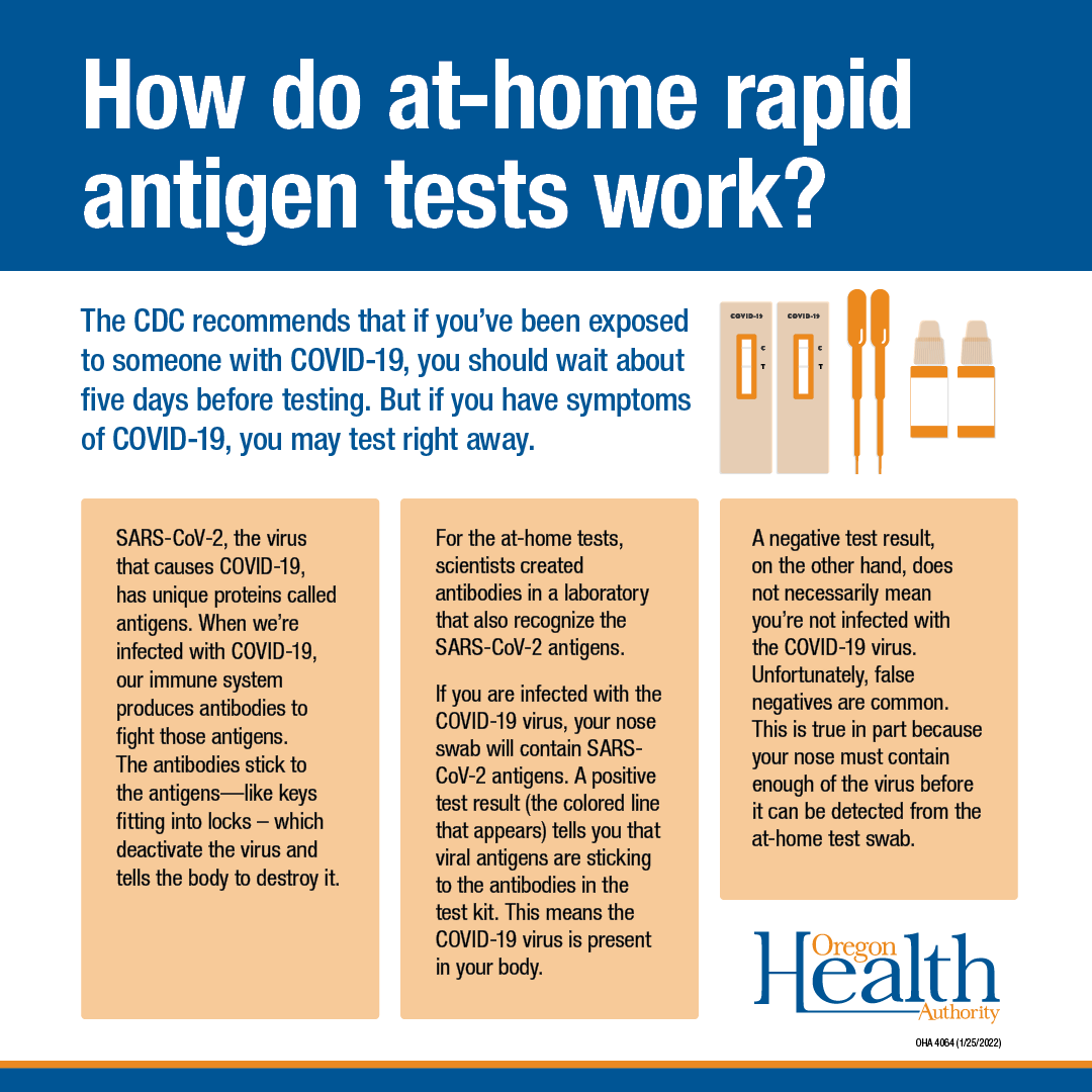 Infographic explains how at-home rapid antigen tests detect the virus that causes COVID-19.