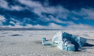 Площадь антарктического льда достигла исторического минимума.