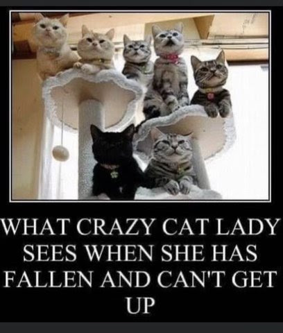 Cat-Lady-Fallen