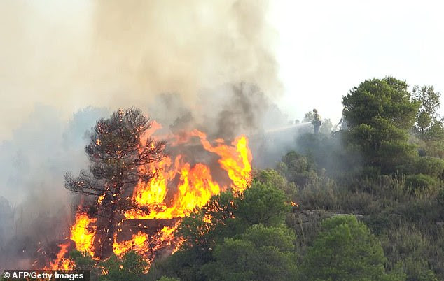 Feuerwehrmänner, die versuchen, ein verheerendes Feuer
            in der Nähe von Torre de la Espanyol in Ribera da Ebro am
            27. Juni an den Ufern des Flusses Ebre im Nordosten Spaniens
            zu löschen
